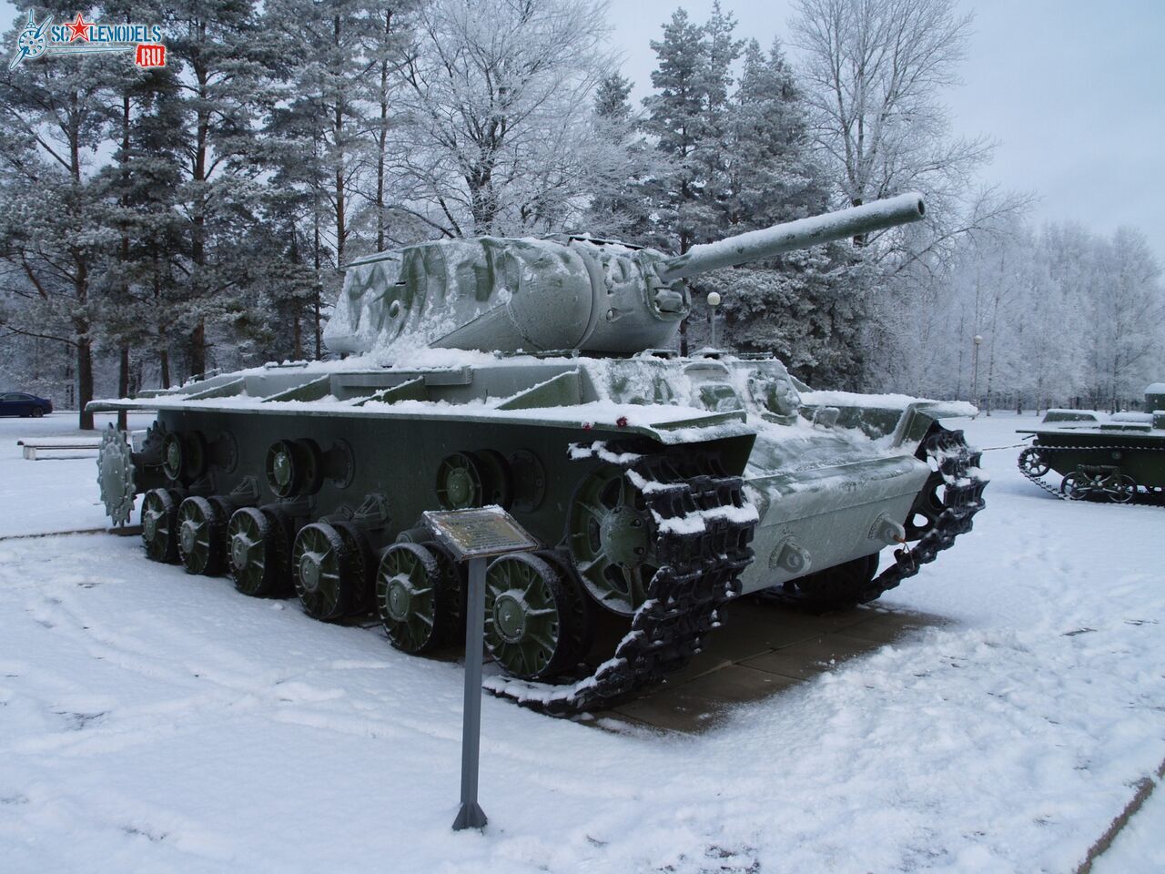 43.jpg