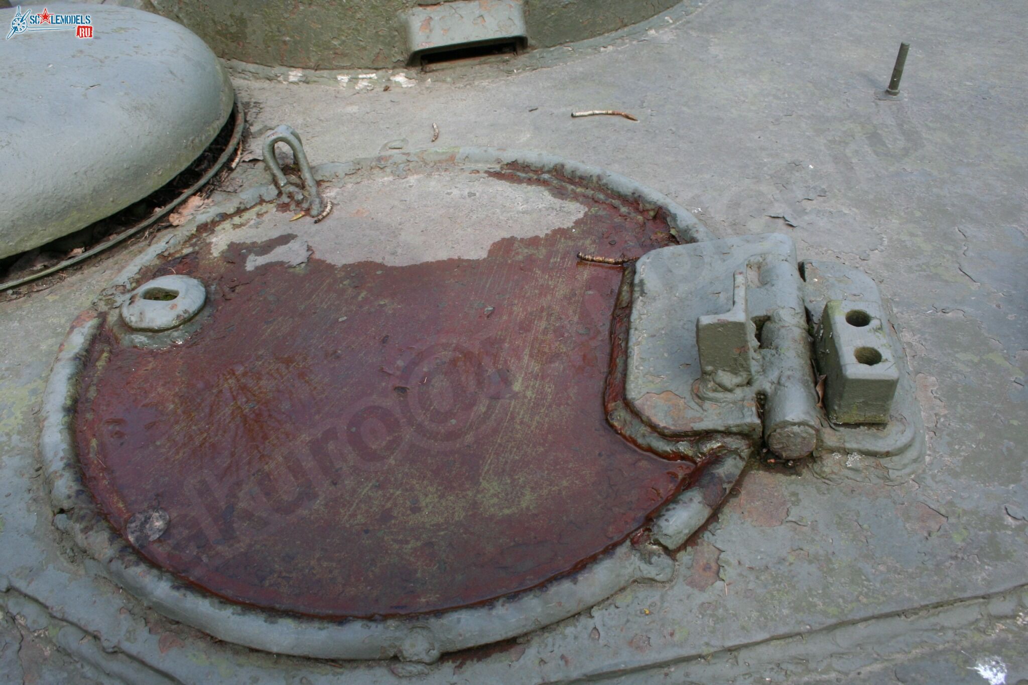 68.jpg