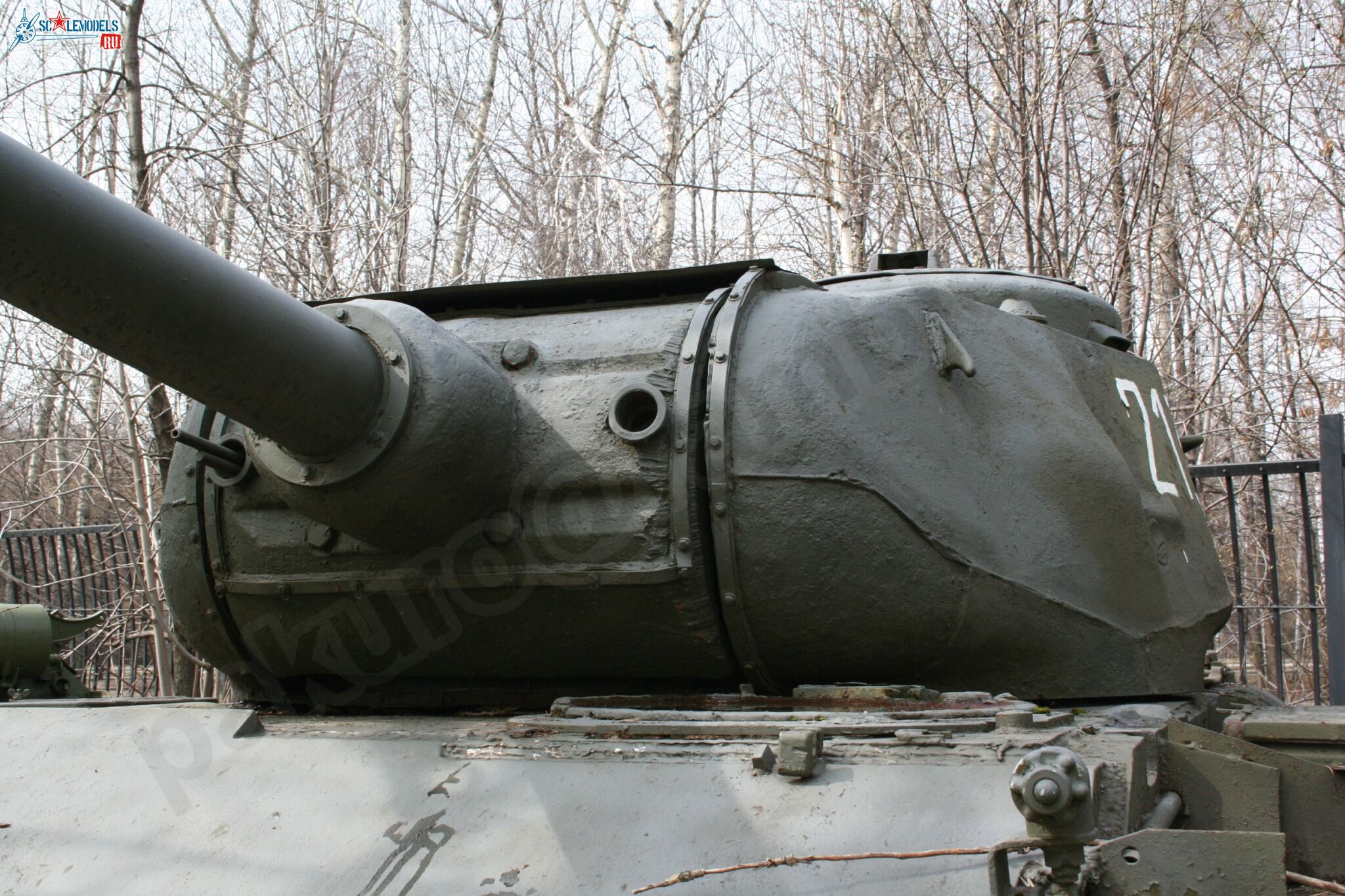 91.jpg