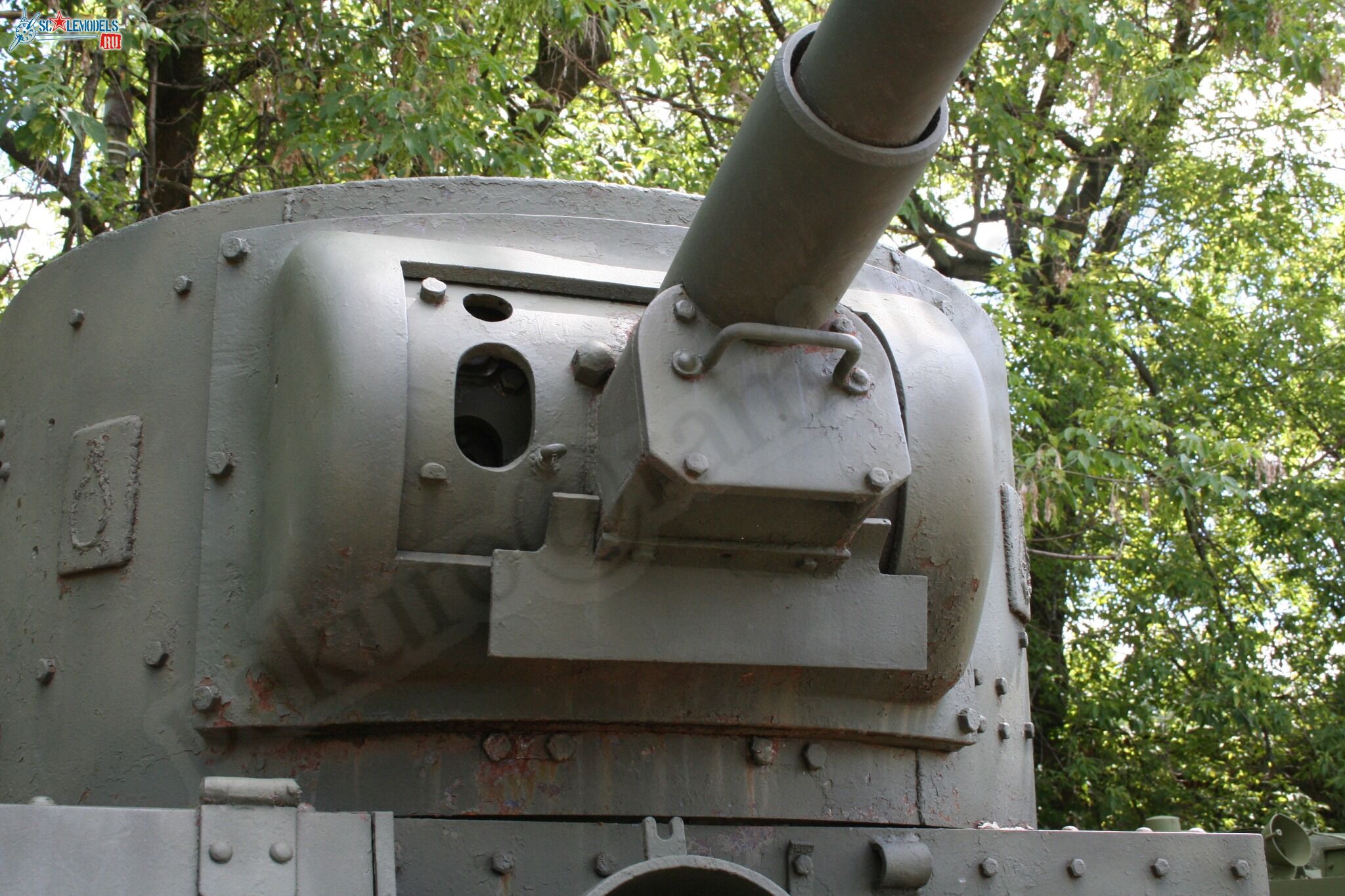 139.jpg