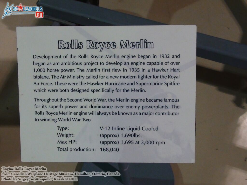 merlin_0002.jpg