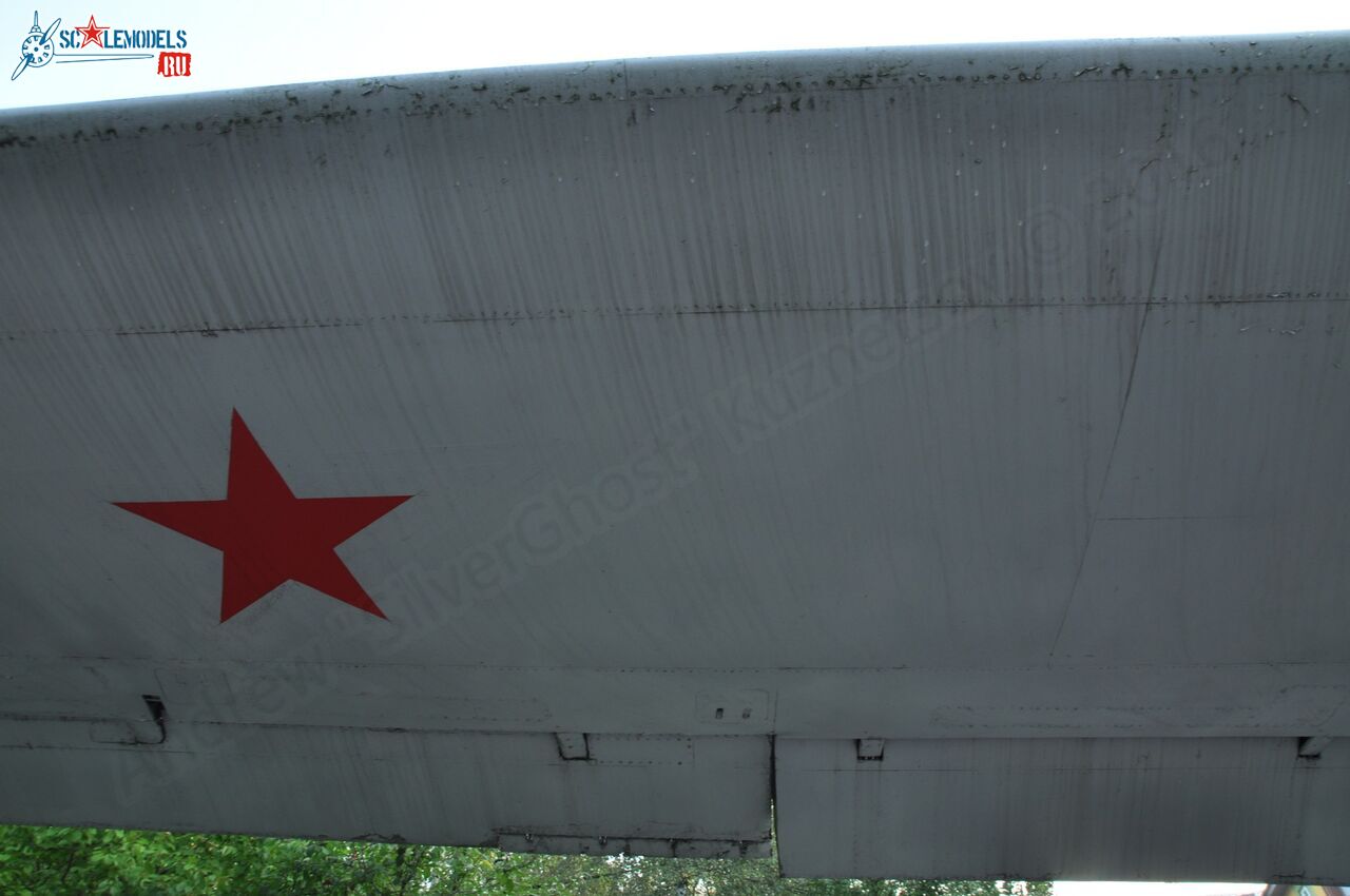 117.jpg