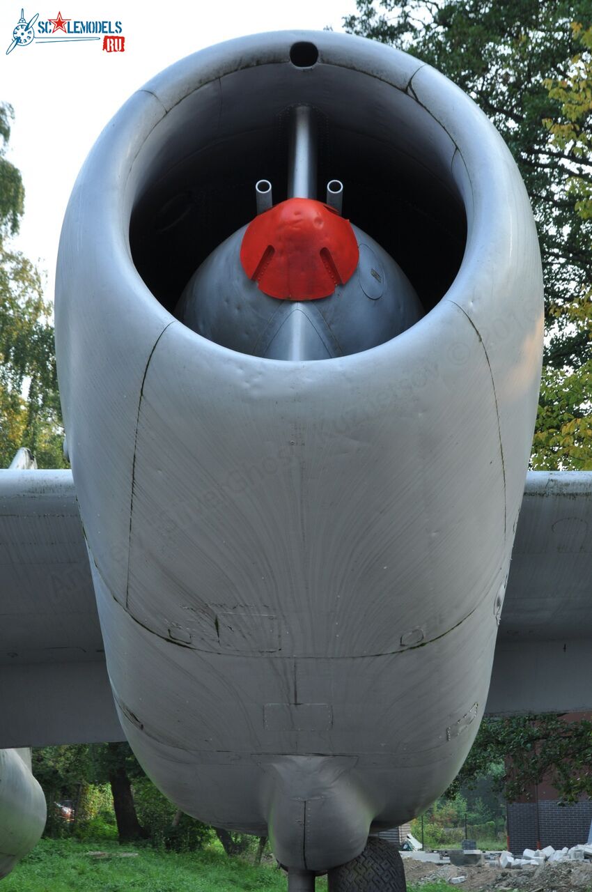 244.jpg