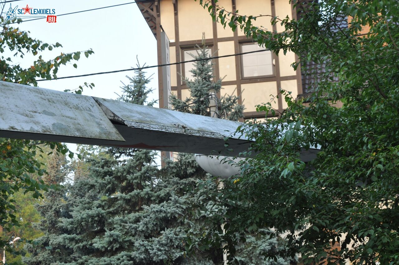 46.jpg