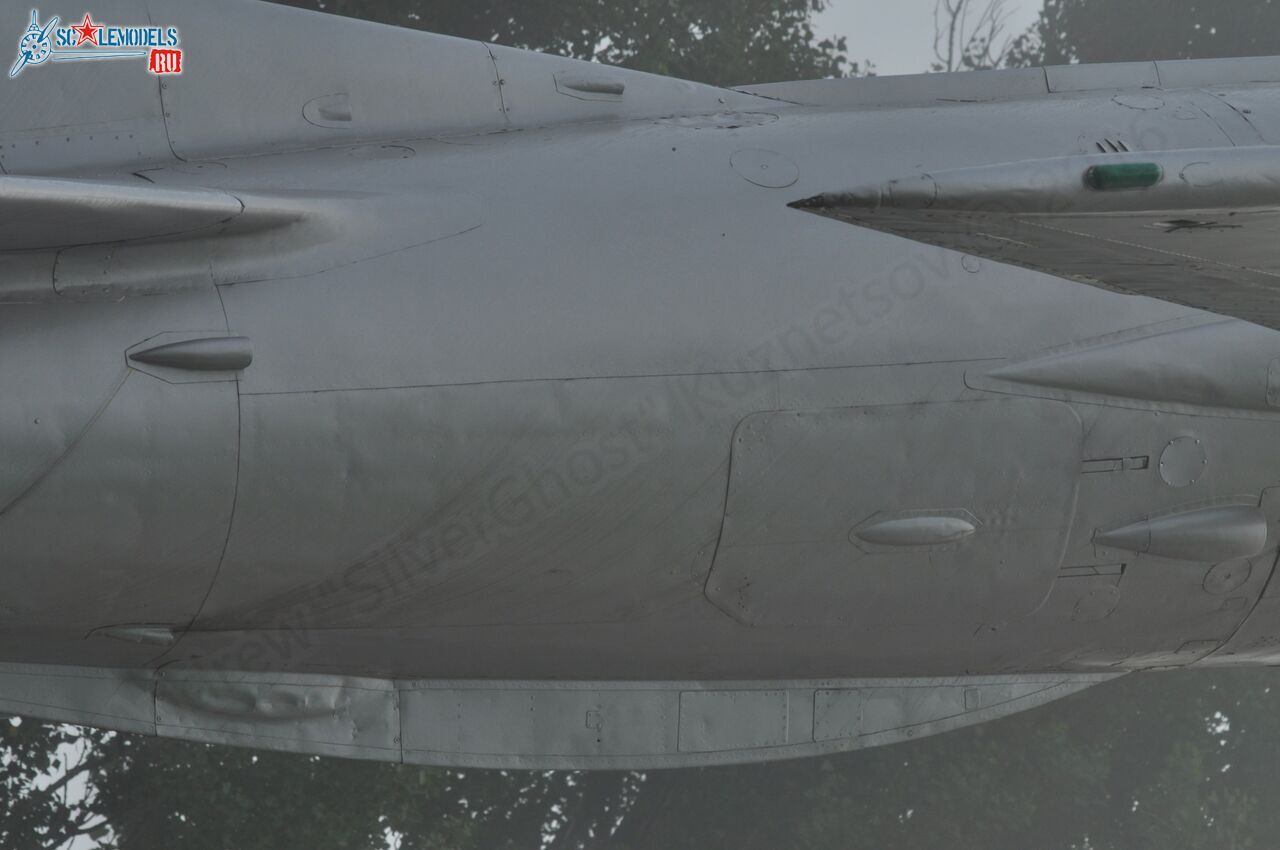 155.jpg