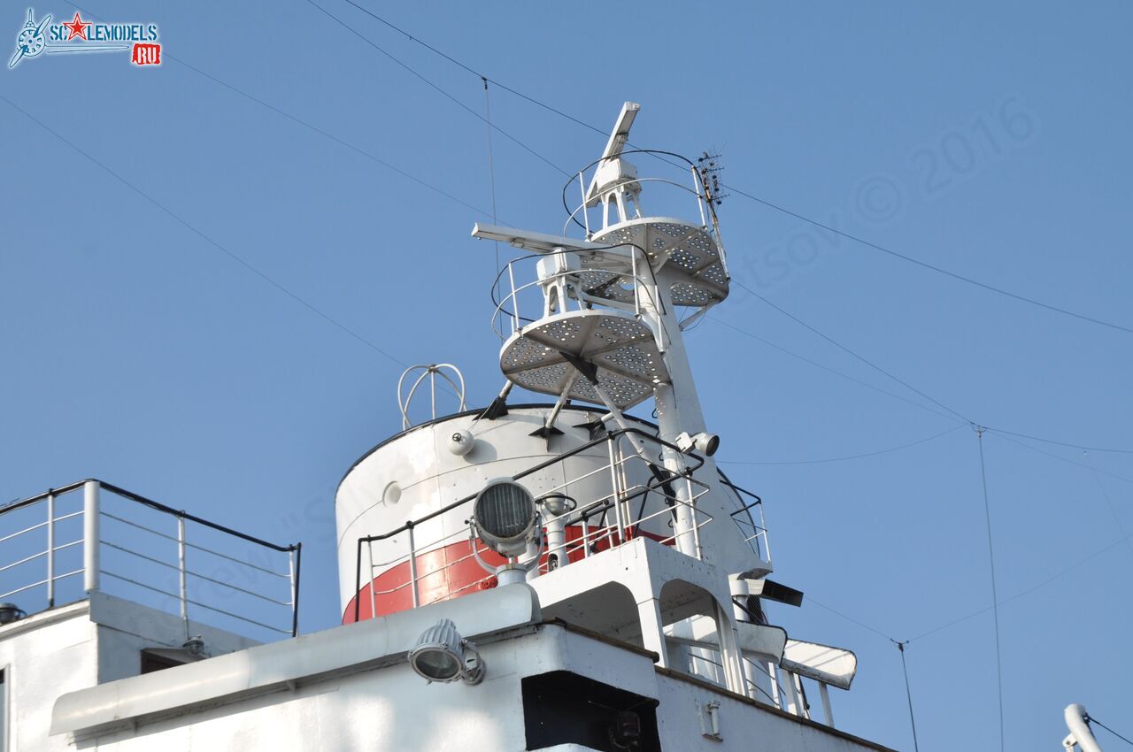 233.jpg