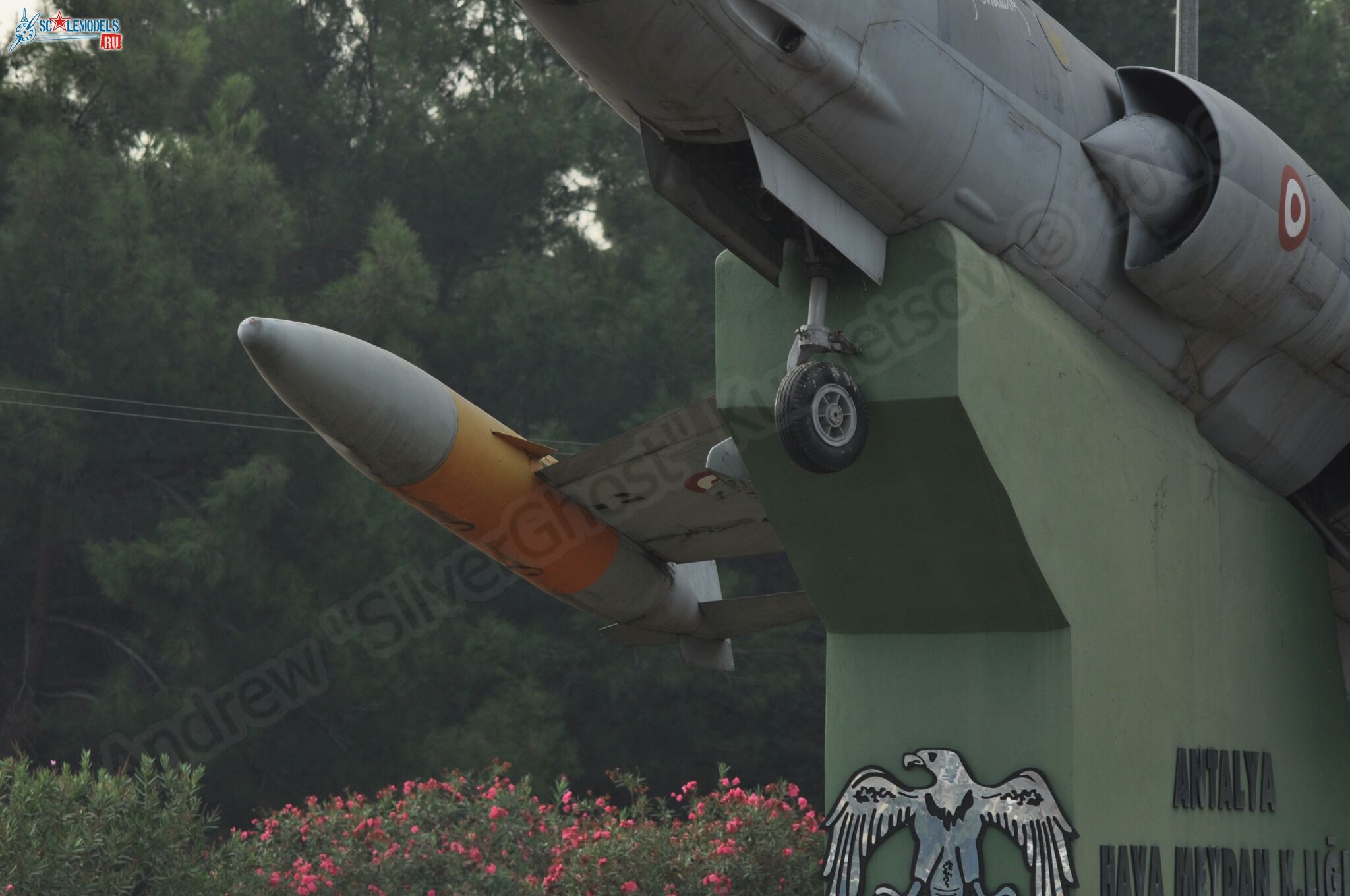 68.jpg