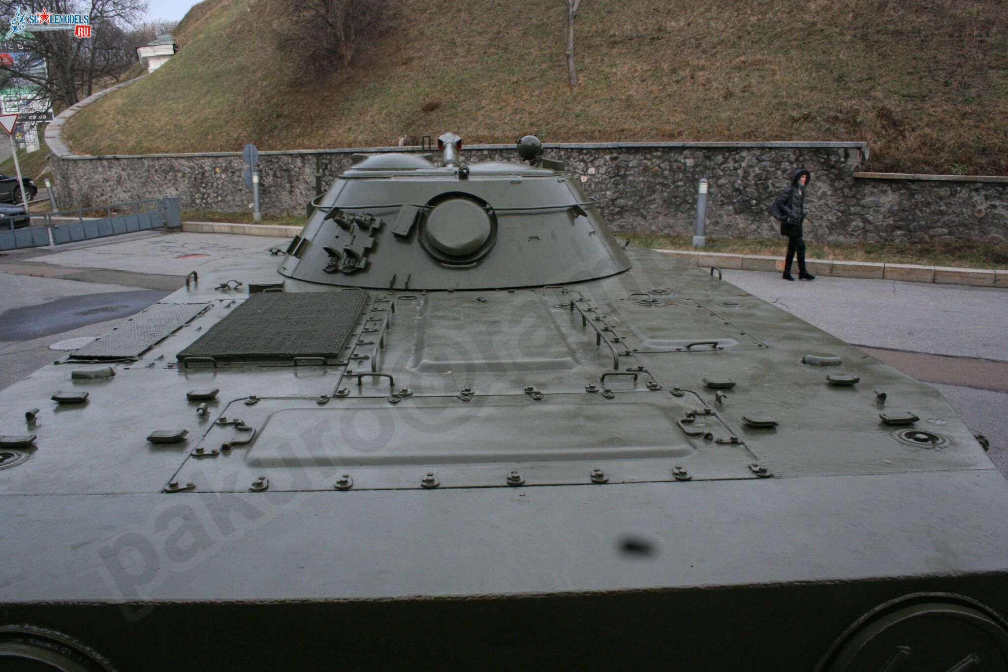 65.jpg