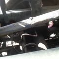 locomotive_L-0029_L-0270_40.jpg