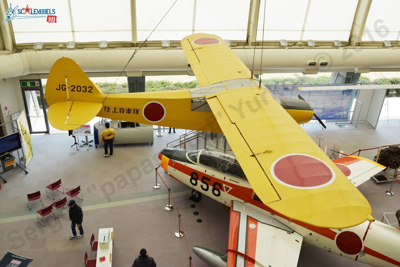 Piper_L-21_3.jpg