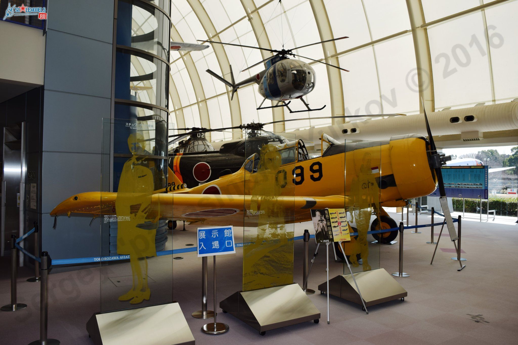 T-6G_JASDF_1.jpg