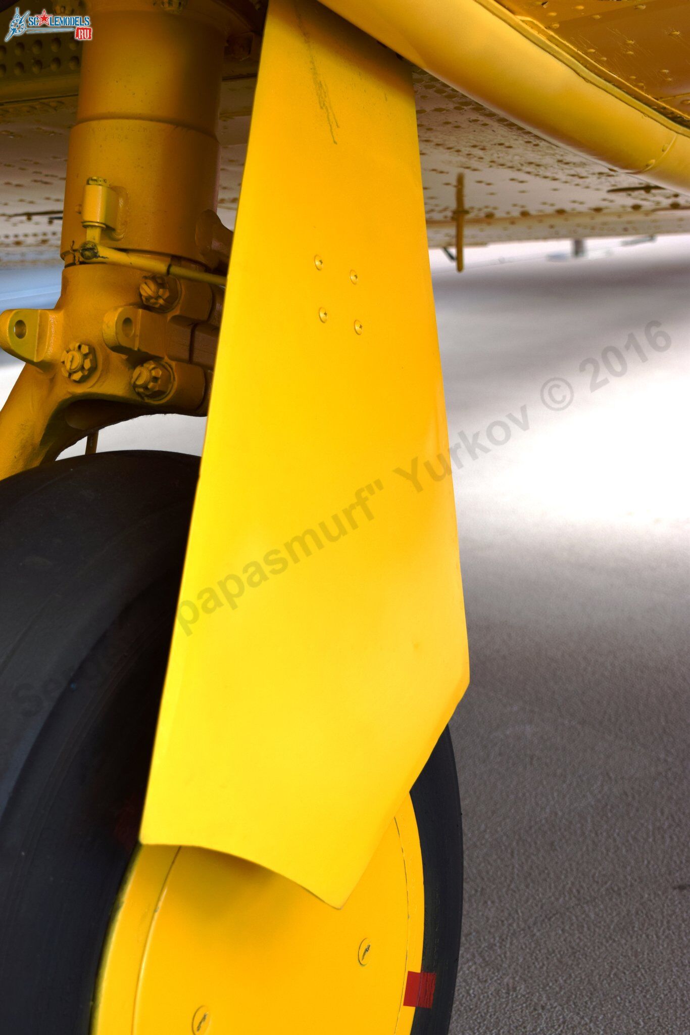 T-6G_JASDF_136.jpg