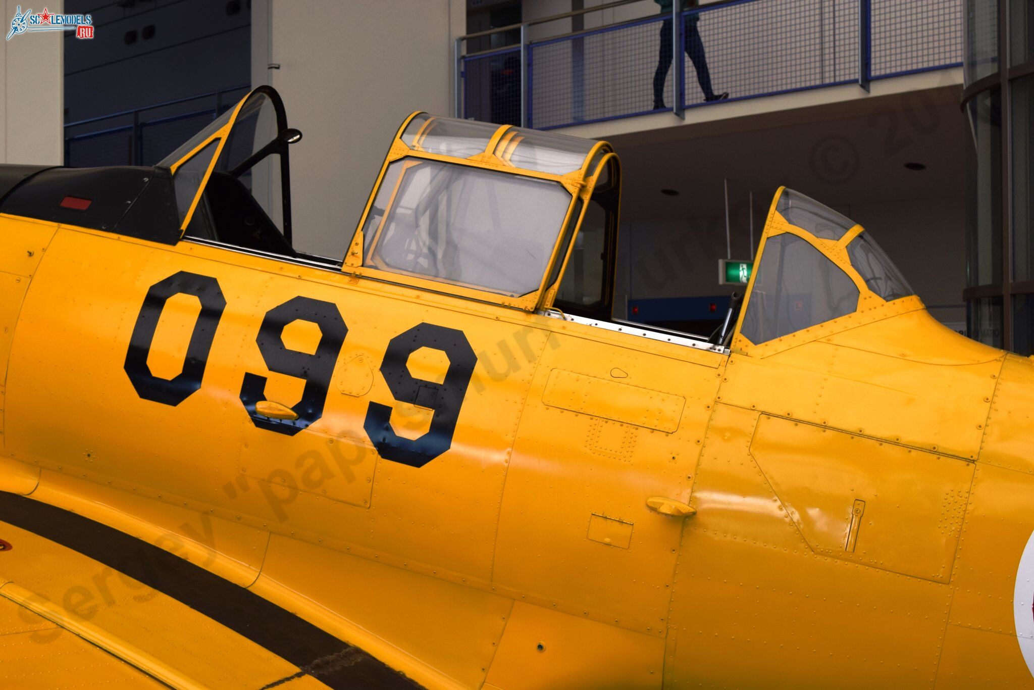 T-6G_JASDF_27.jpg