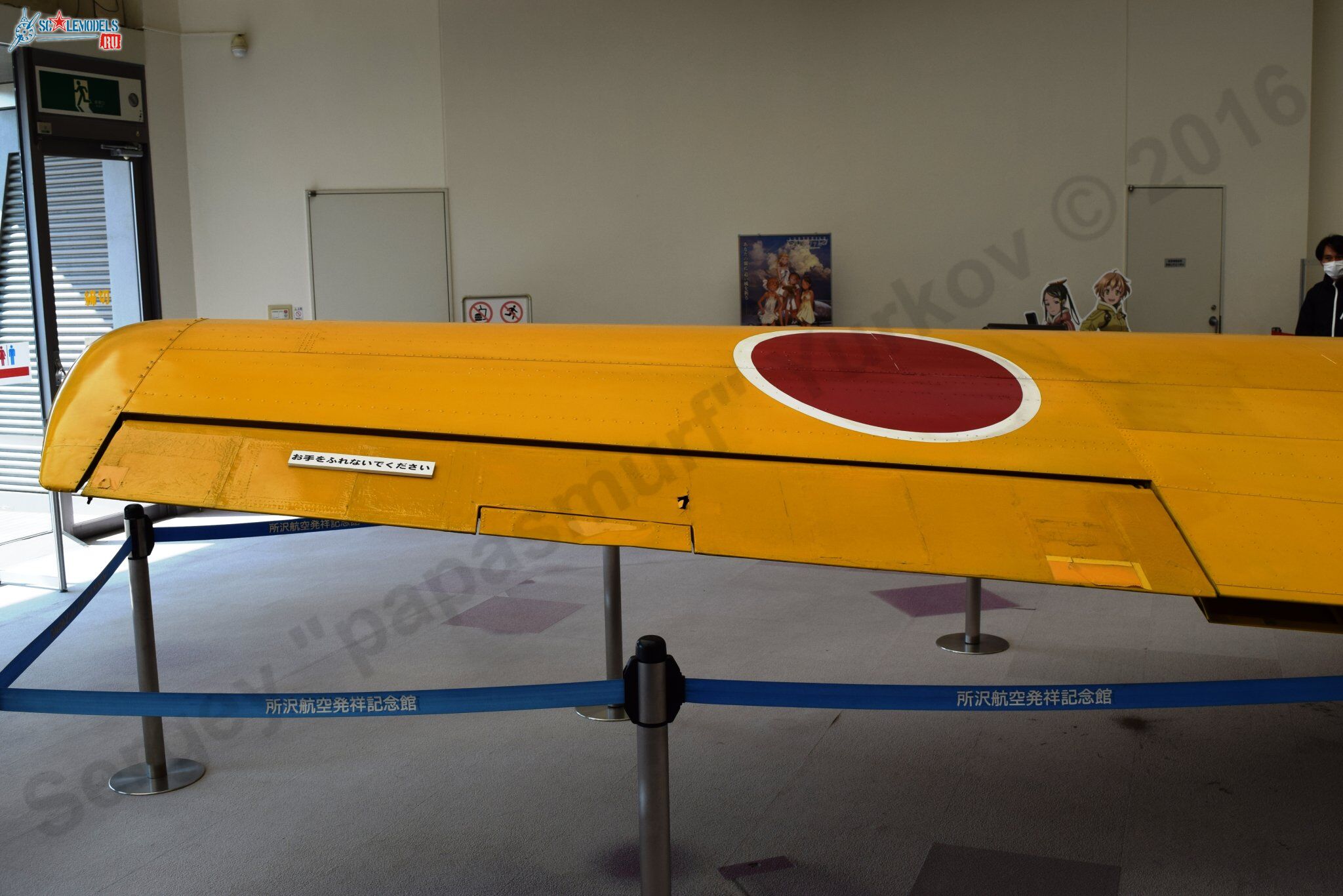 T-6G_JASDF_31.jpg