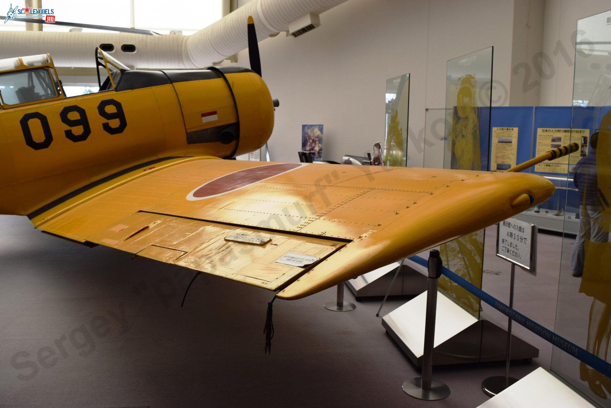 T-6G_JASDF_93.jpg