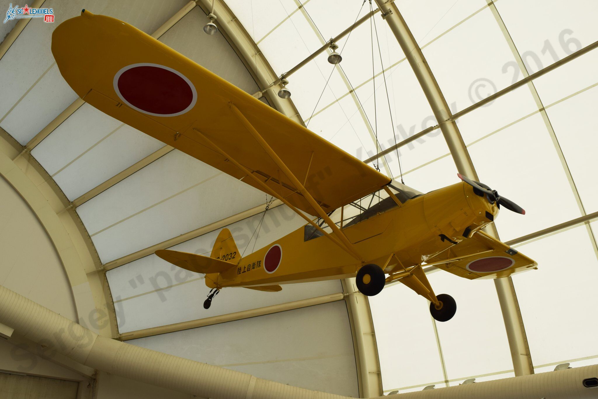 Piper_L-21_1.jpg