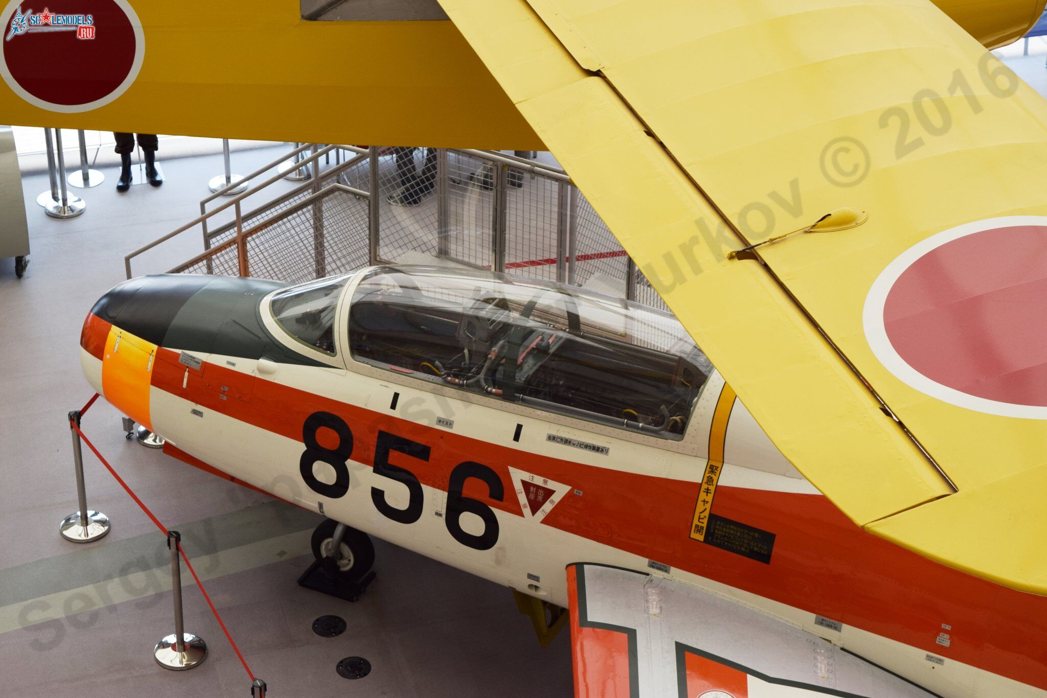 Piper_L-21_2.jpg