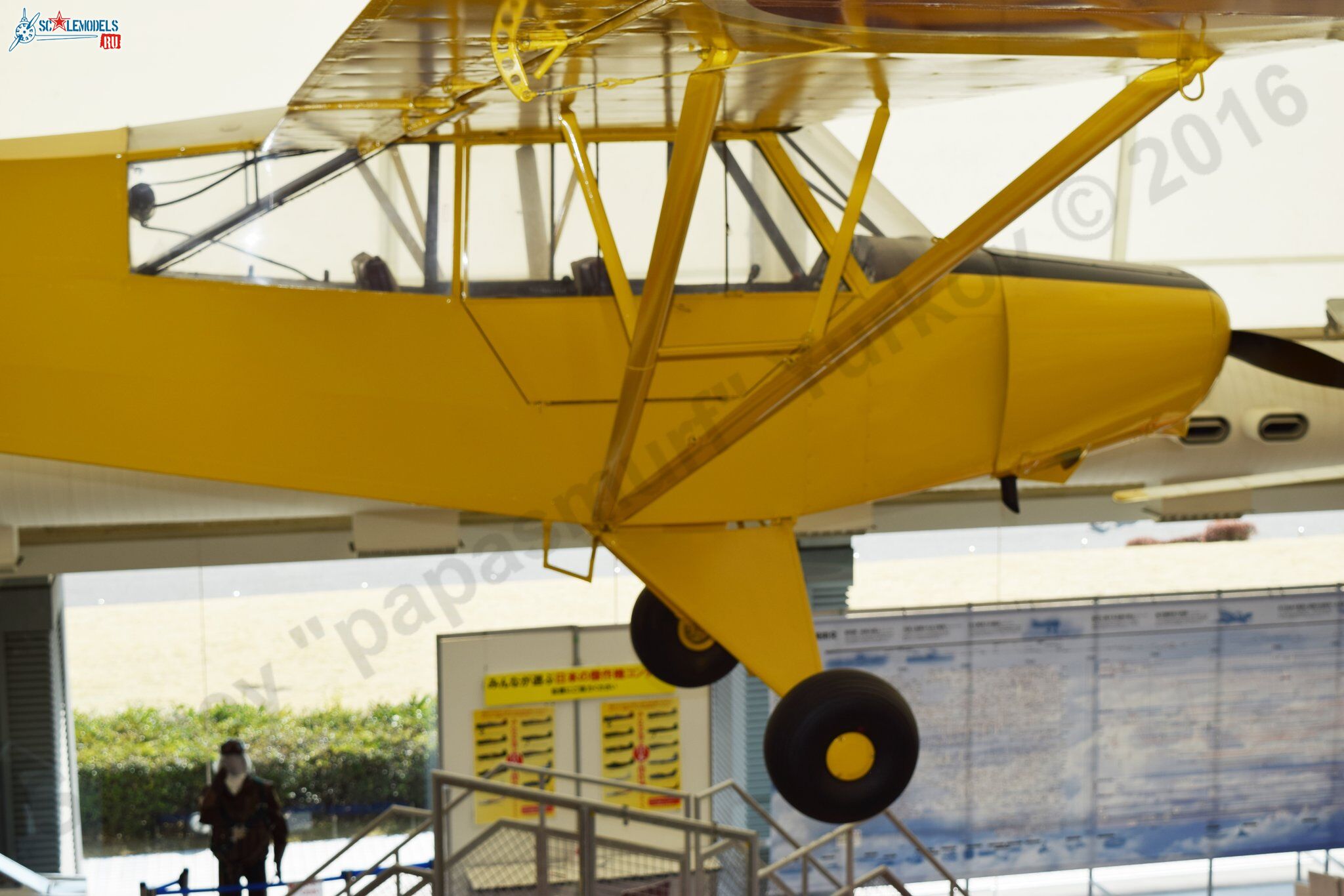 Piper_L-21_6.jpg