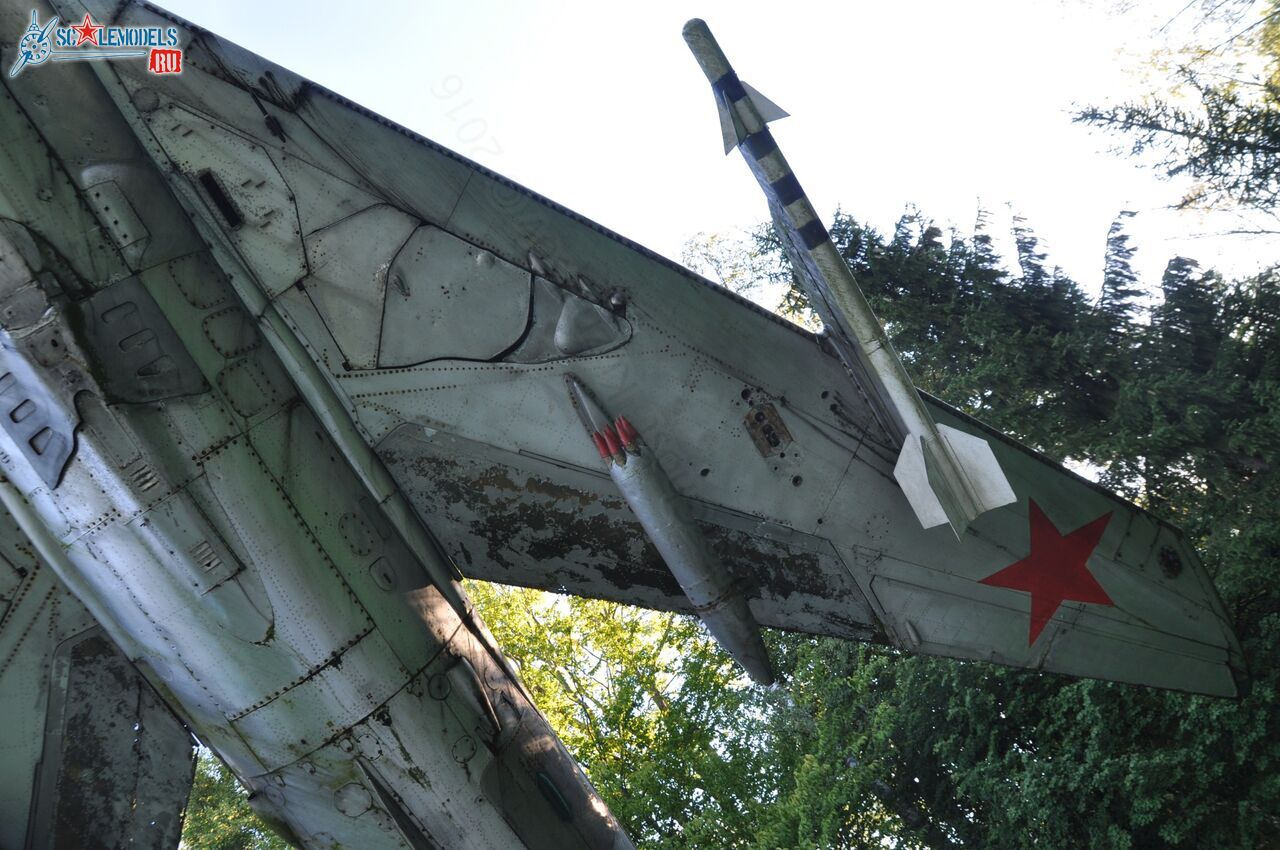 117.jpg