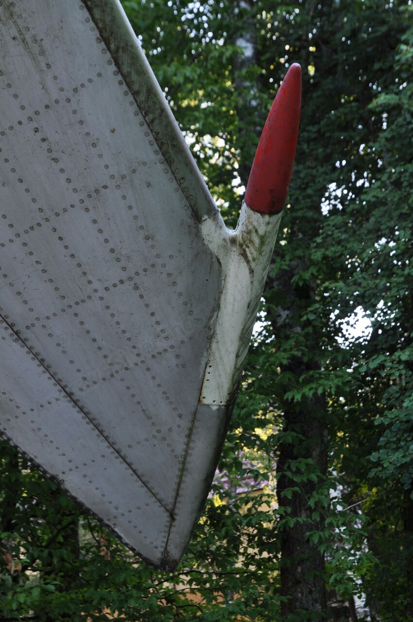 131.jpg