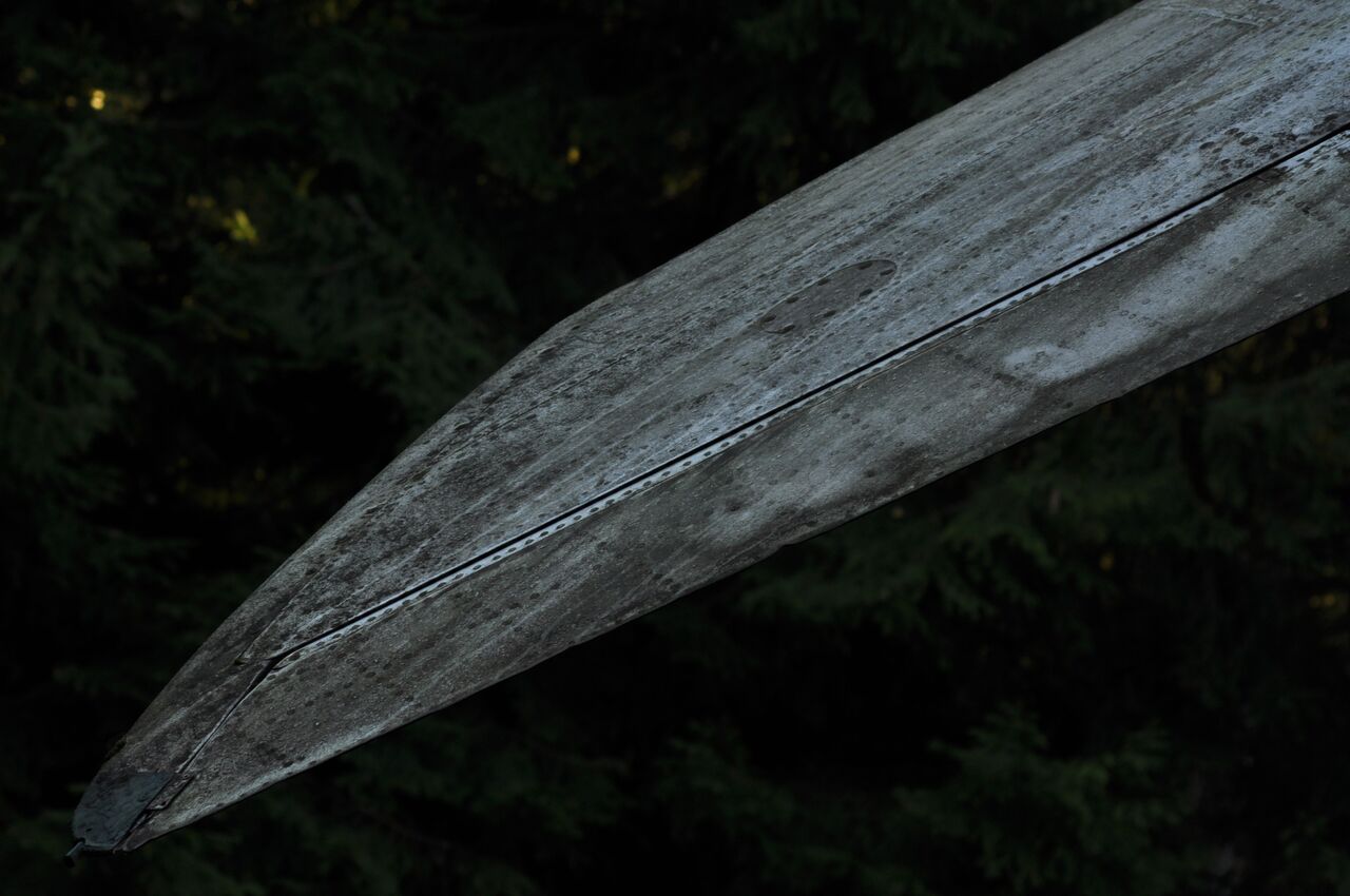 77.jpg