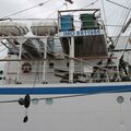 IMG_7597