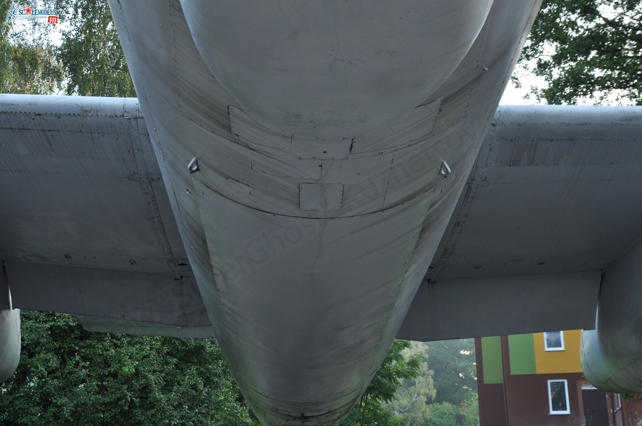 143.jpg