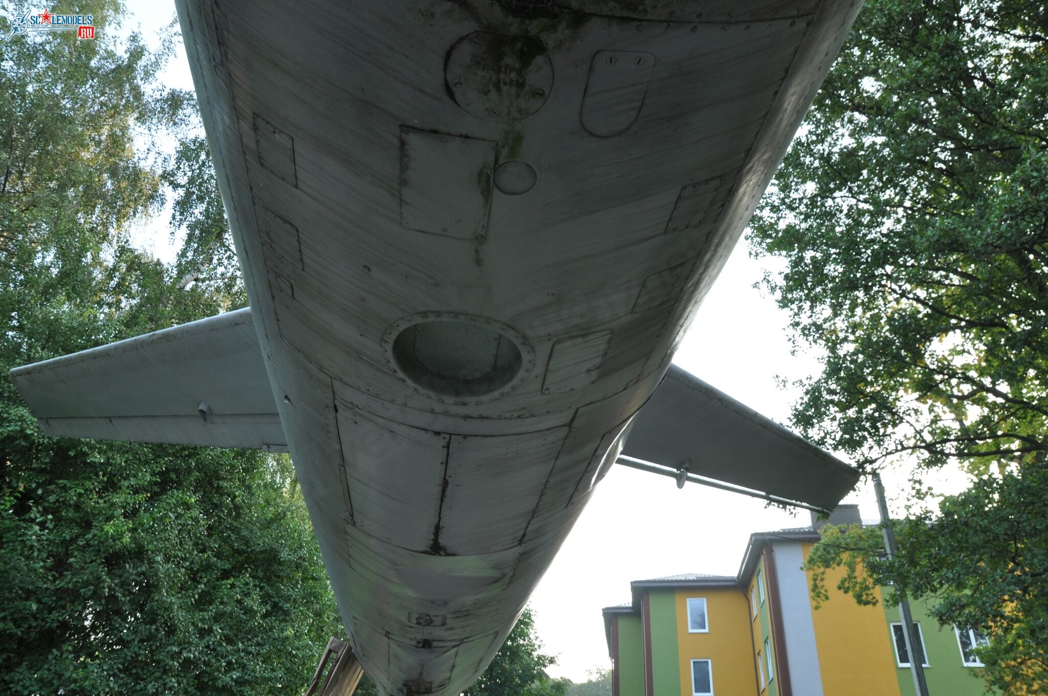 164.jpg