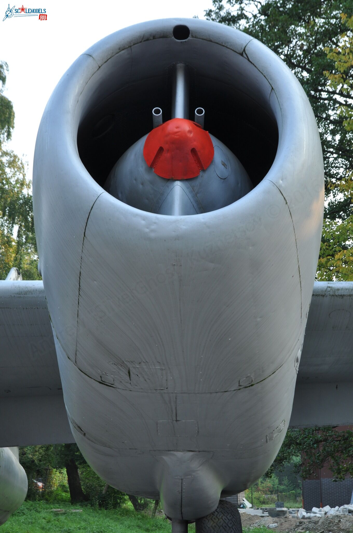 244.jpg