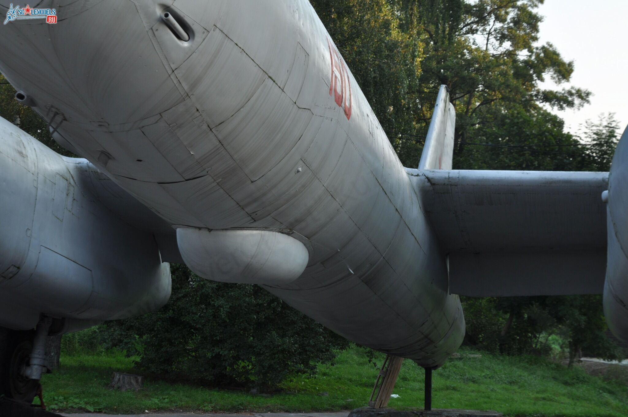 275.jpg