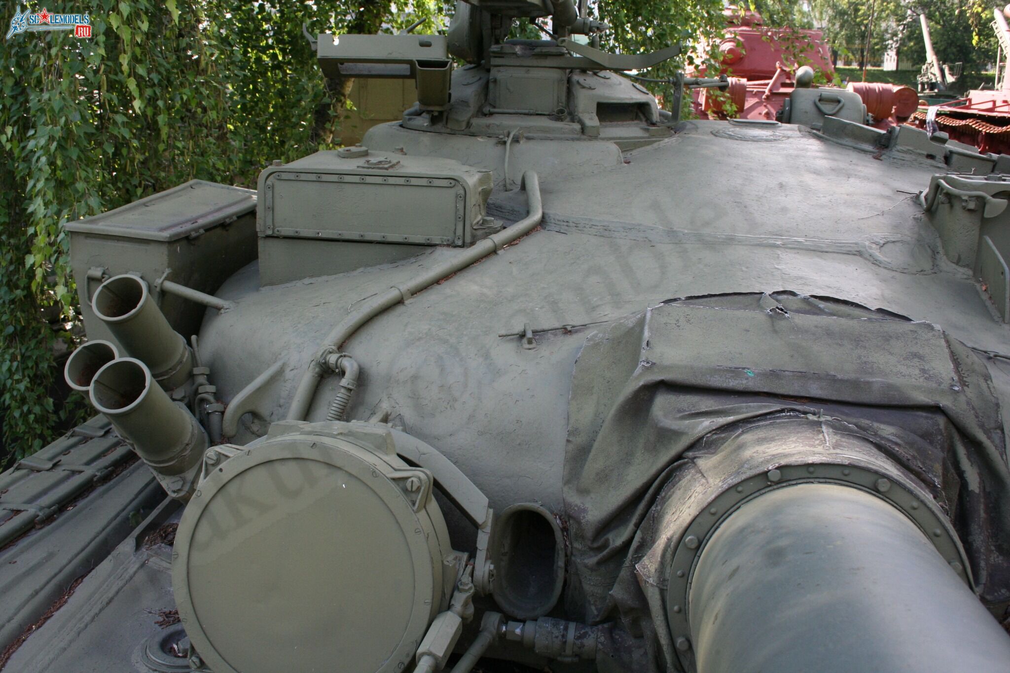 186.jpg