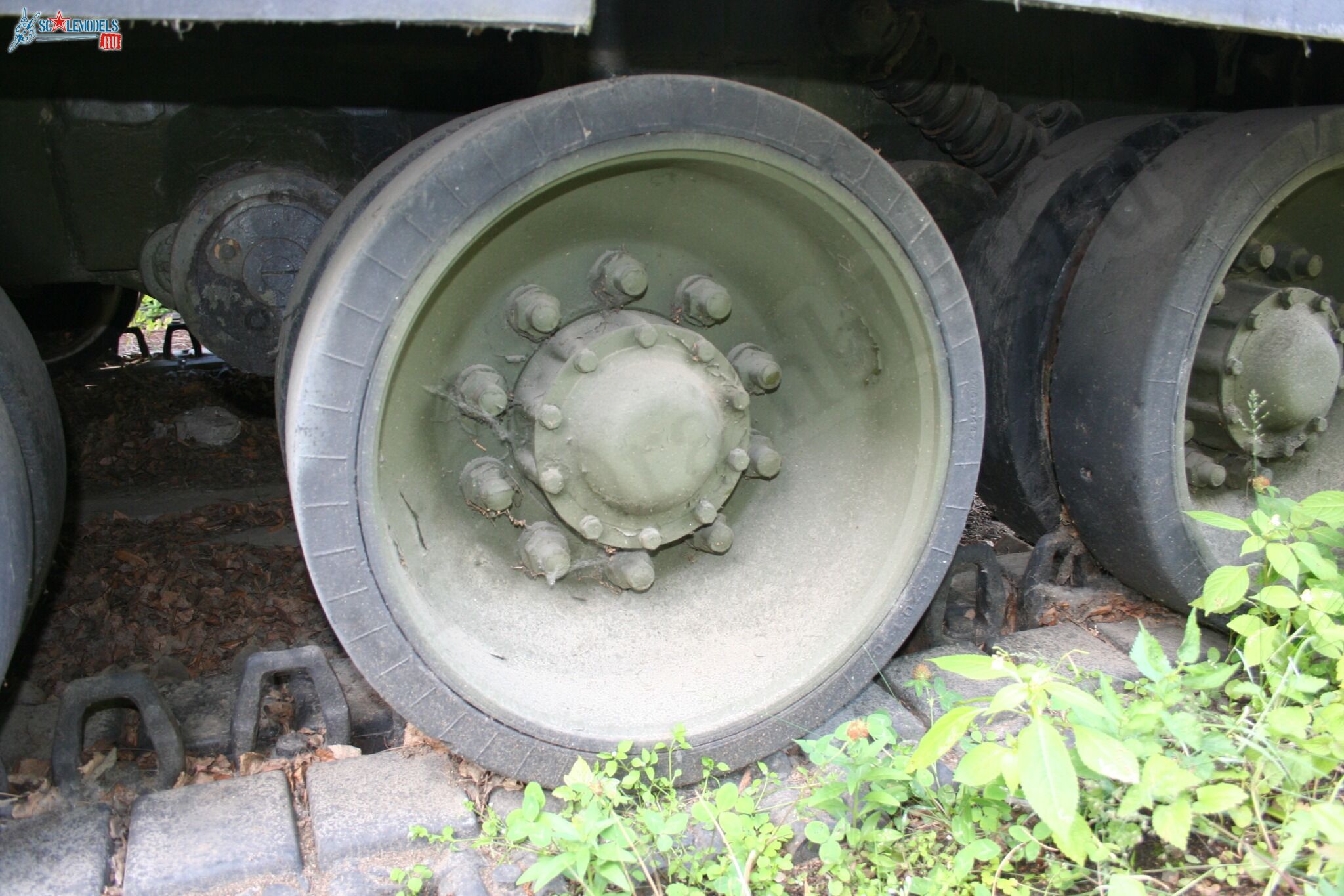 31.jpg