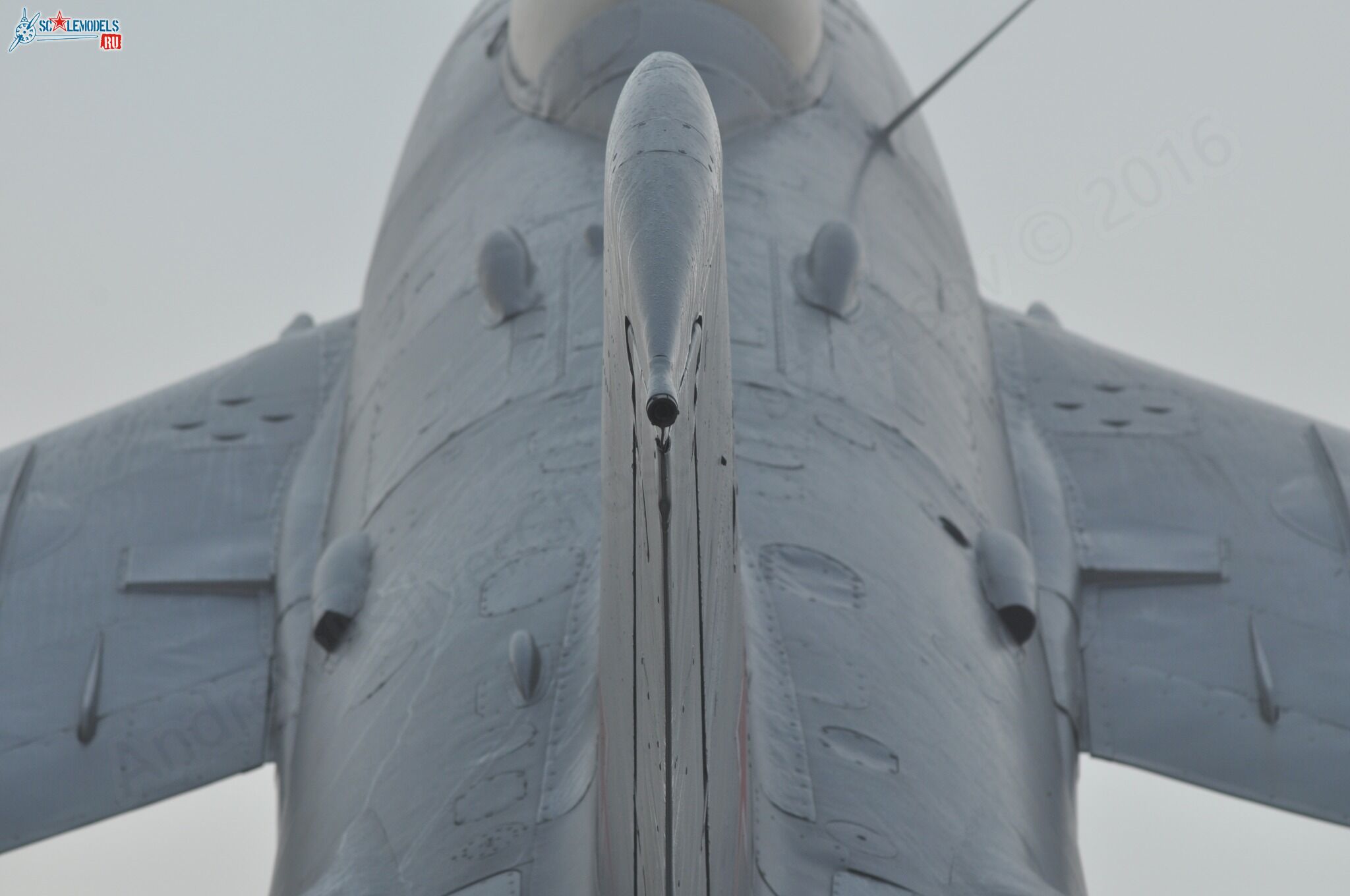 105.jpg