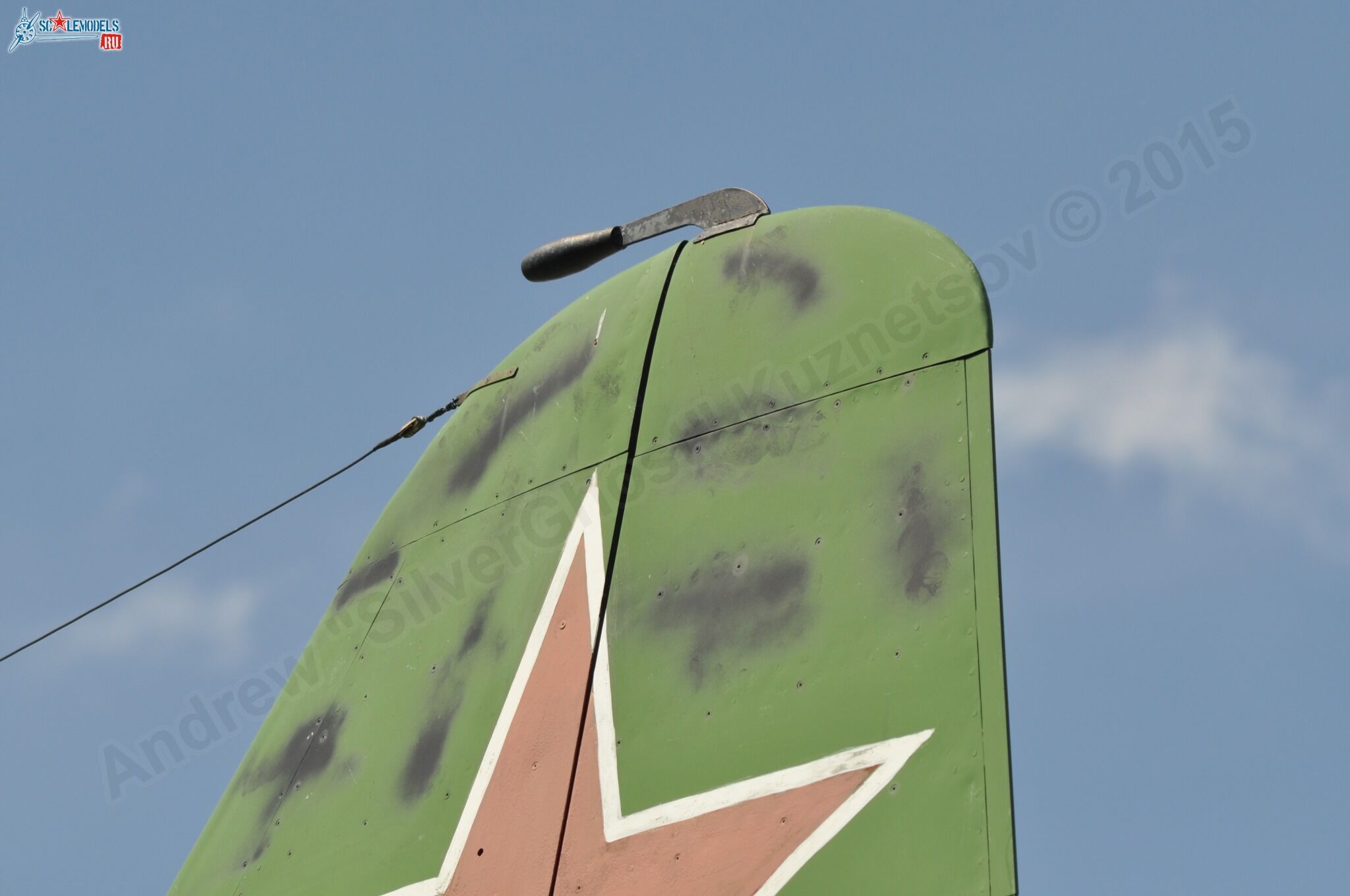 53.jpg