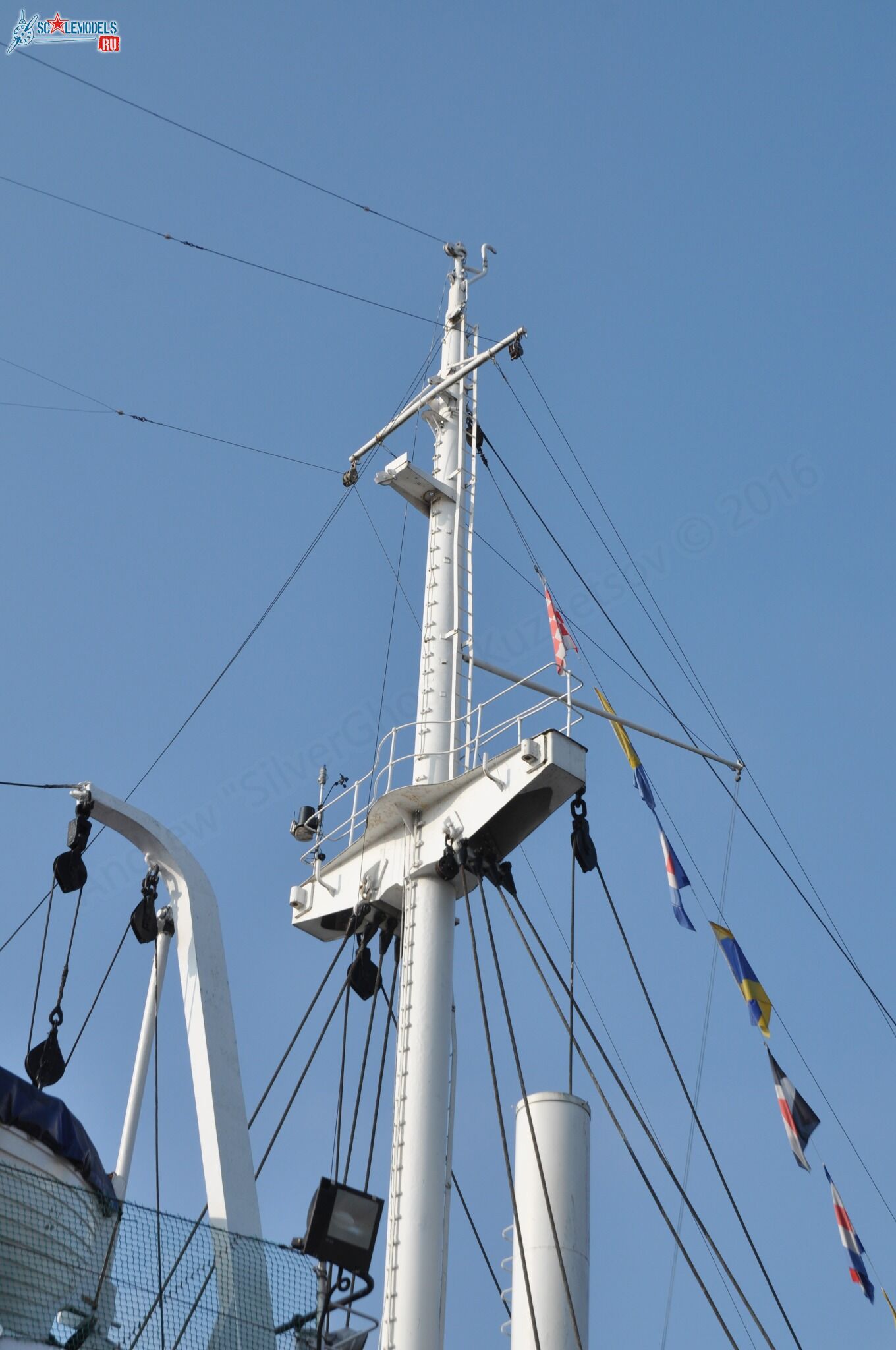 167.jpg