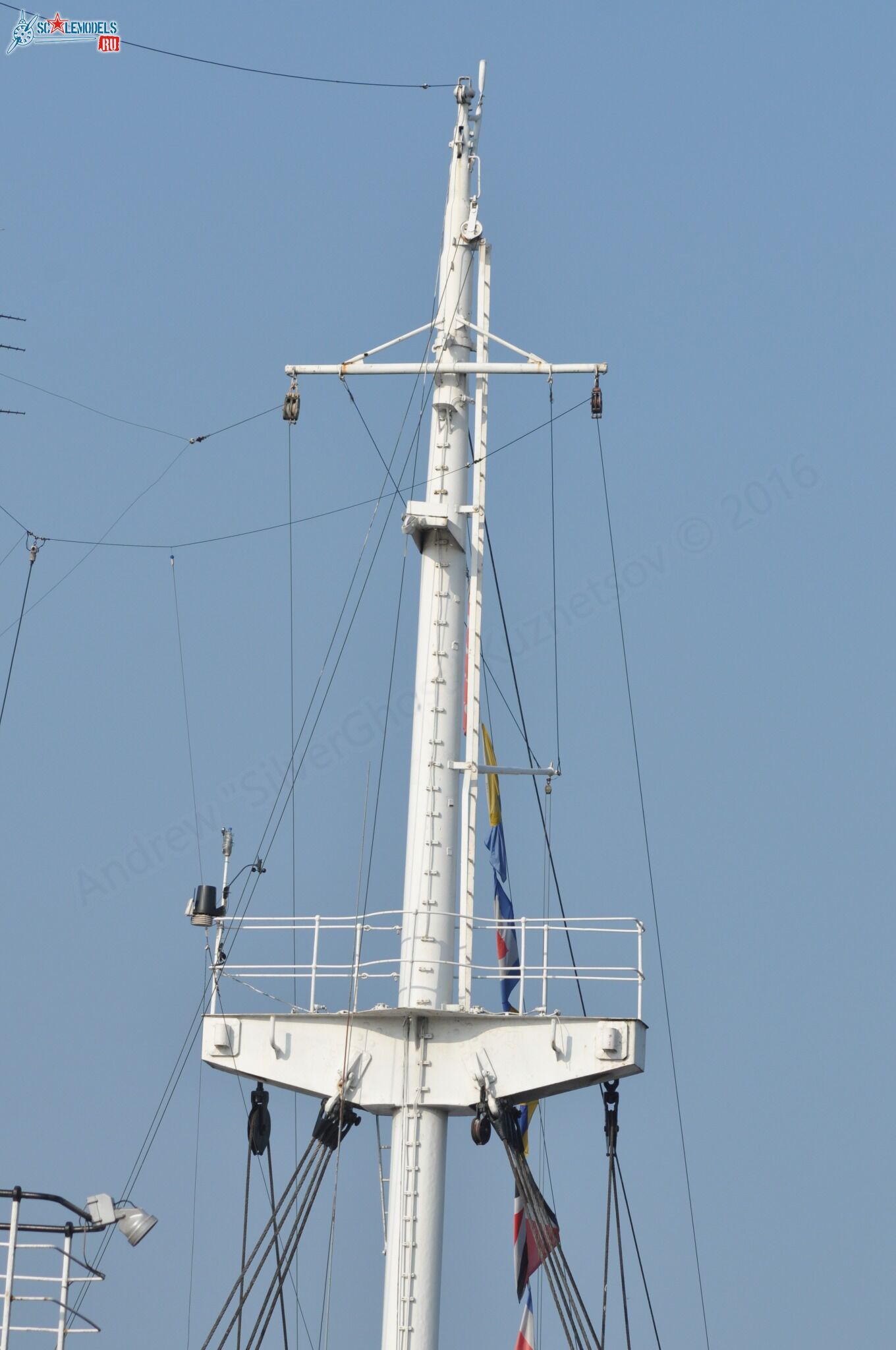 306.jpg