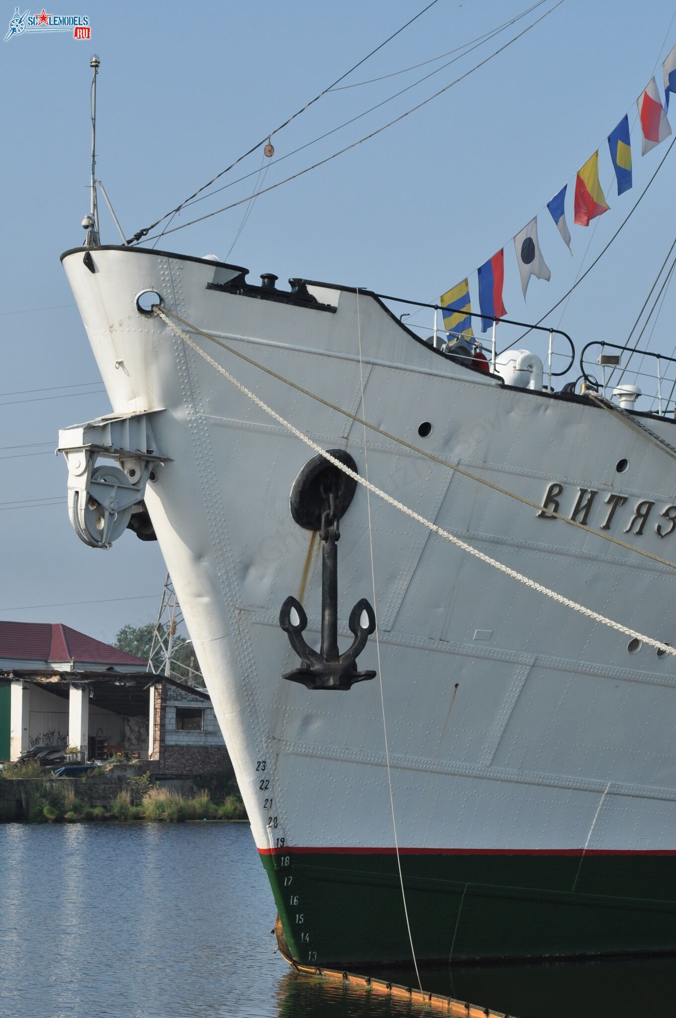 313.jpg