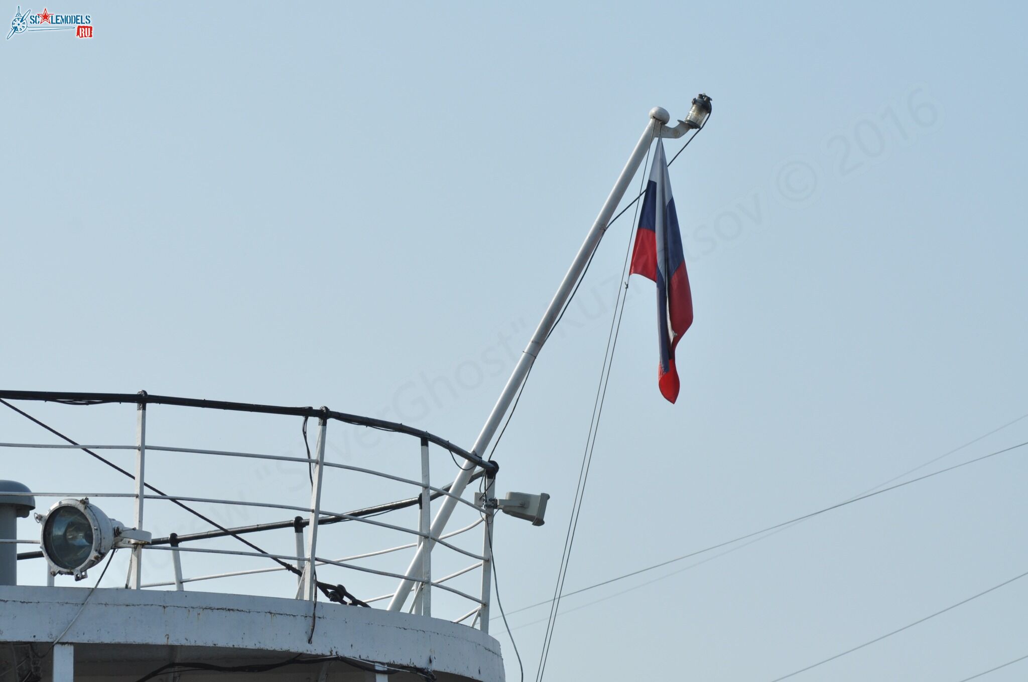 454.jpg
