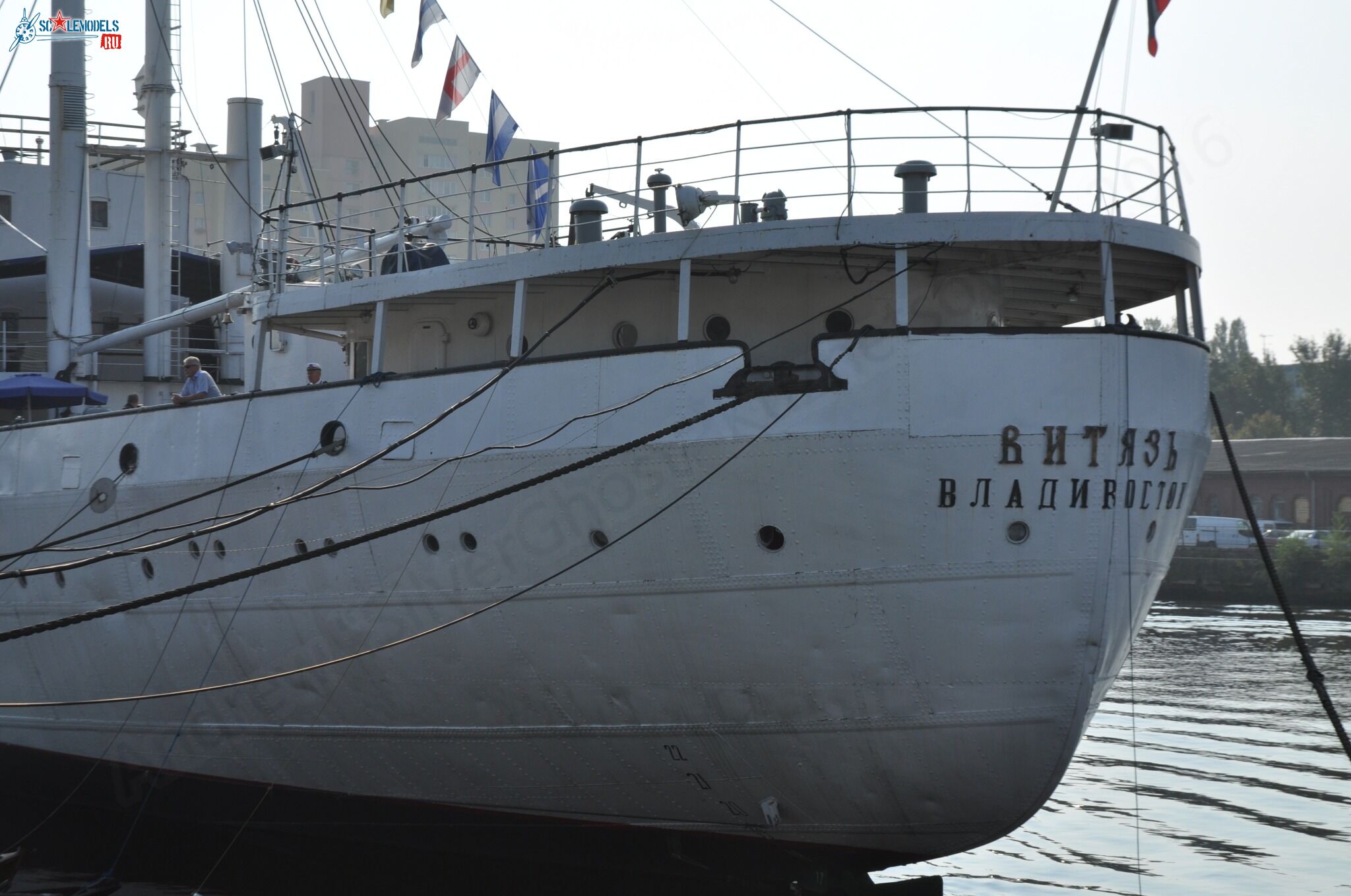 474.jpg