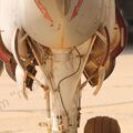 E-2C_Hawkeye_85.jpg