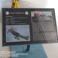 firefly_as6_0001.jpg