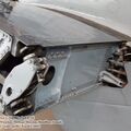 firefly_as6_0029.jpg