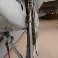 firefly_as6_0033.jpg