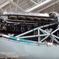 firefly_as6_0034.jpg