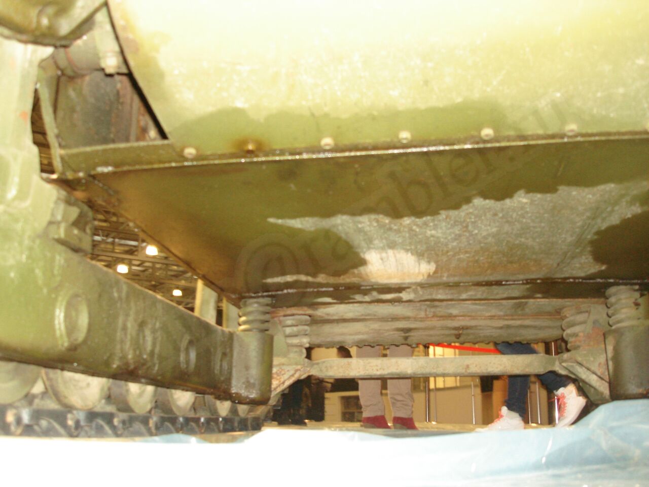 77.jpg