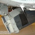 firefly_as6_0050.jpg