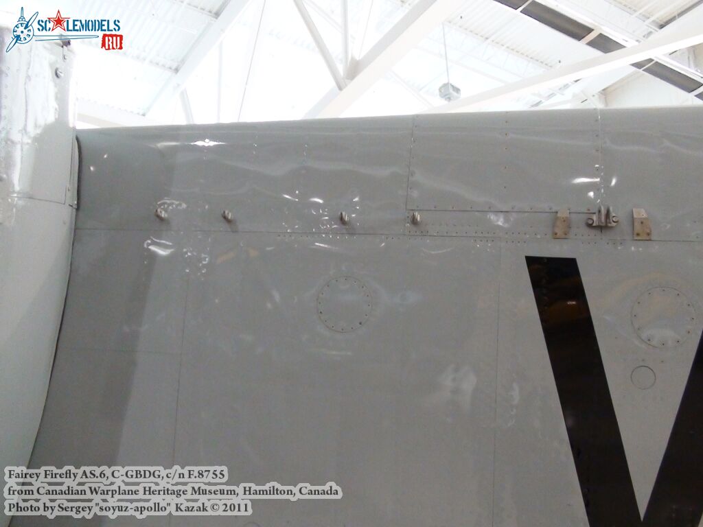 firefly_as6_0014.jpg