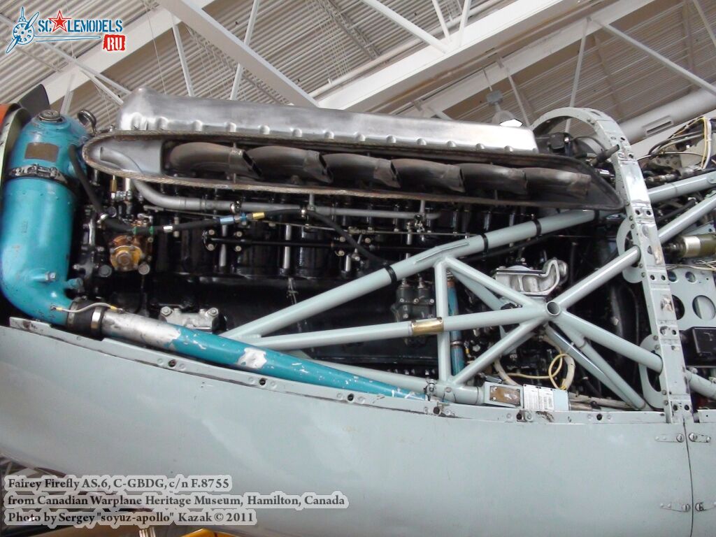 firefly_as6_0034.jpg