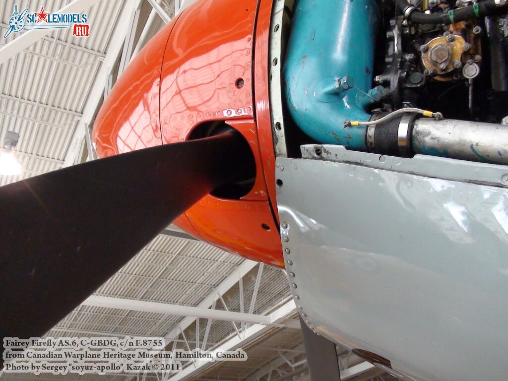 firefly_as6_0035.jpg