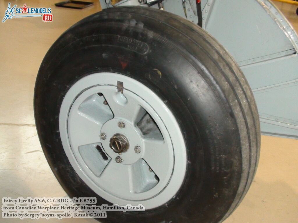 firefly_as6_0039.jpg